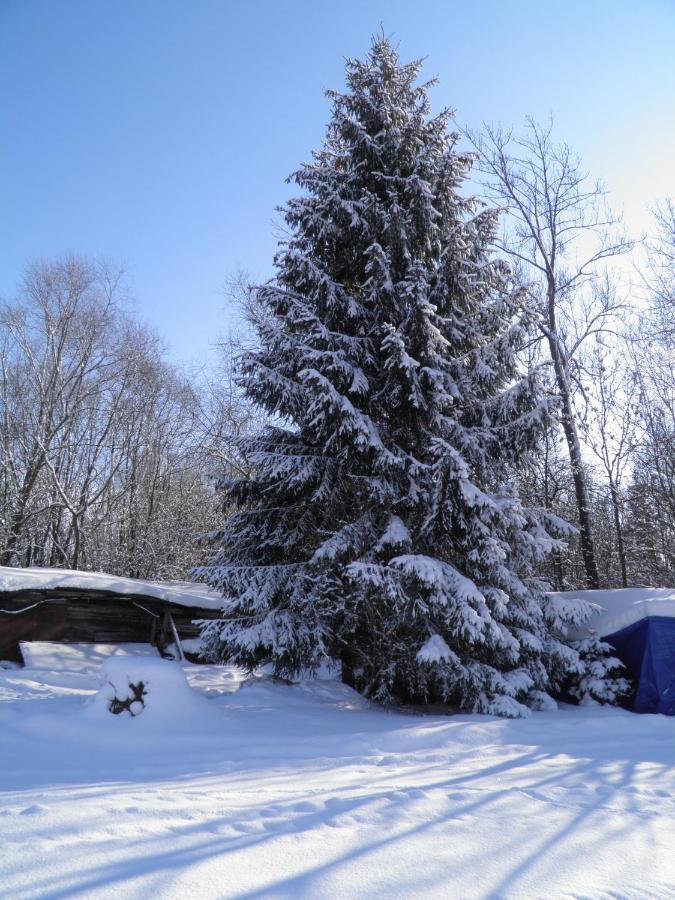 Privat Kovacova Vila Žiar Exterior foto